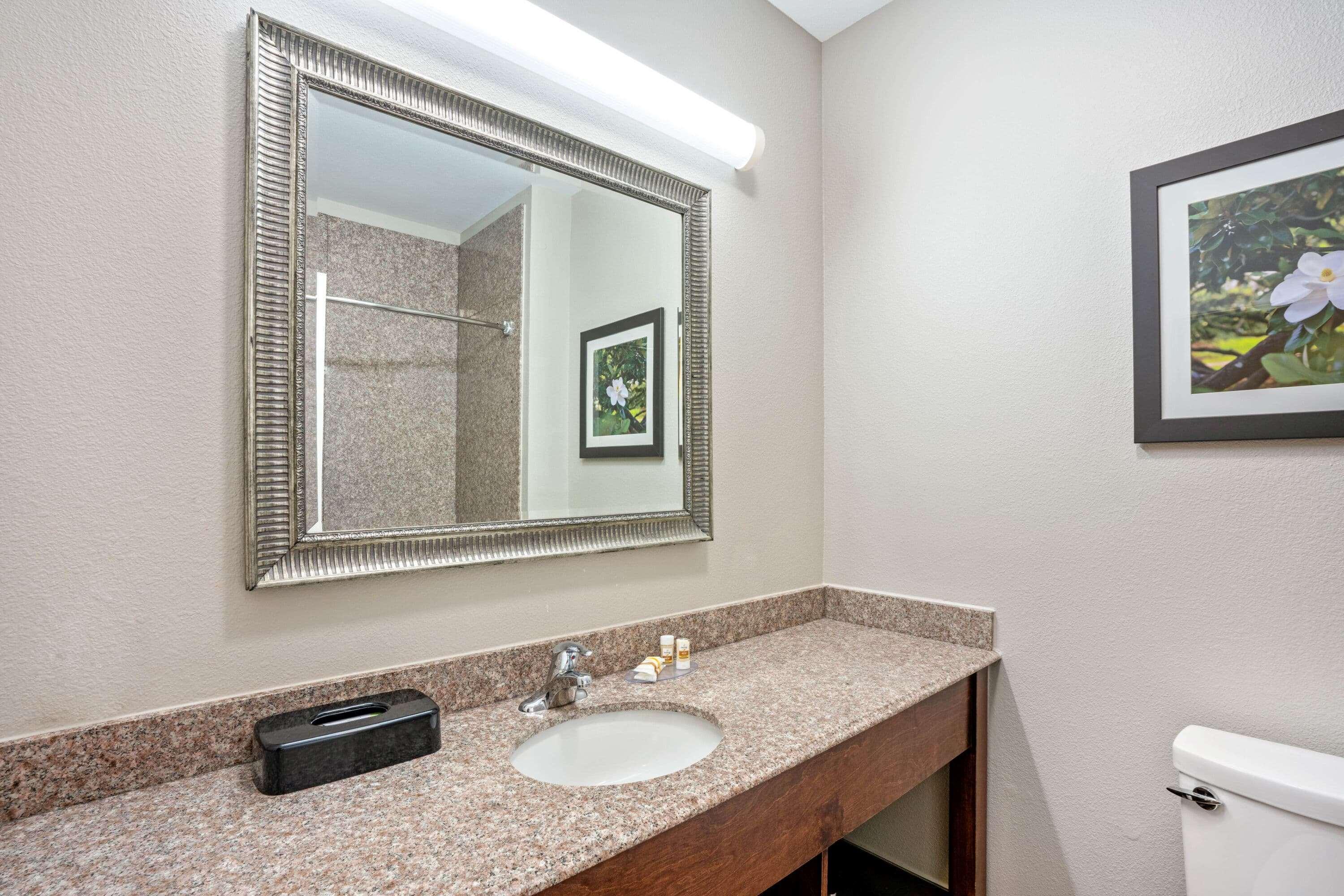 La Quinta By Wyndham Houston - Magnolia Hotel Ngoại thất bức ảnh